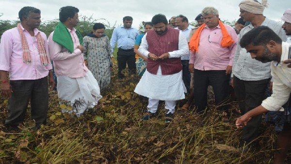  ವಾರದೊಳಗೆ ಬೆಳೆ ಹಾನಿ ವರದಿ ನೀಡಲು ಸೂಚನೆ