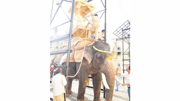  55 ಕೆಜಿ ಭಾರಹೊತ್ತ ಭೀಮ 