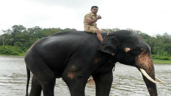  ಸಿನಿಮಾ ಕಥೆಗೇನು ಕಡಿಮೆಯಿಲ್ಲ ಭೀಮನ ಸ್ಟೋರಿ