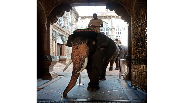  ಭೀಮನನ್ನು ಸಾಕಿದ್ದು ಕುಳ್ಳರಾಮ ದಂಪತಿ