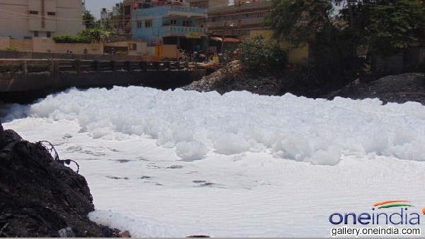 ಬೆಂಗಳೂರಿನ ಕೆರೆಗಳ ಕಥೆ ಹೇಗಿದೆ? 