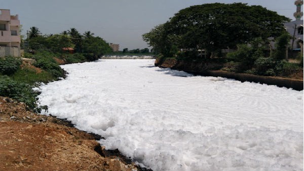 ಯಾವ ರೀತಿ ಕೆರೆಯ ನೀರು ಕುಡಿಯಲು ಯೋಗ್ಯವಾಗಿರುವುದು?