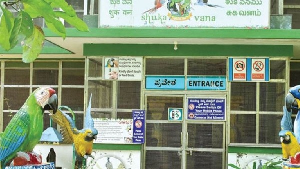  ಶುಕವನ ಗಿನ್ನಿಸ್ ಪುಸ್ತಕ ಸೇರಿರುವ ಶುಕವನ 