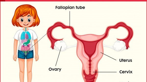 ಮುಟ್ಟಿನ ನಂತರ ರಕ್ತ ಕಲೆ 
