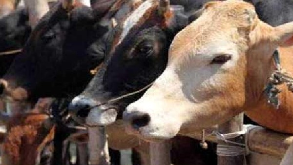 4 ಕೋಟಿ ಡೋಸ್ ತಯಾರಿಕೆ ಸಾಧ್ಯತೆ 