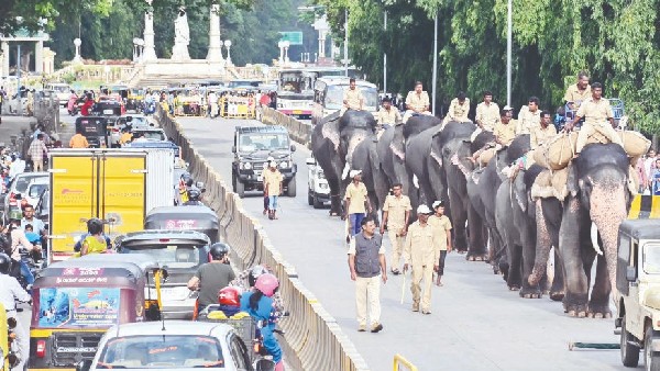  ಜಂಬೂಸವಾರಿಗೆ ಗಜಪಡೆ ಪೂರ್ಣ ಸಿದ್ಧ 