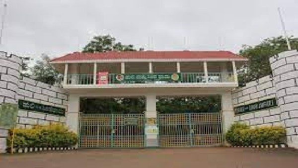 Shivamogga: Tyavarekoppa tiger and lion safari tiger Hanuma death 