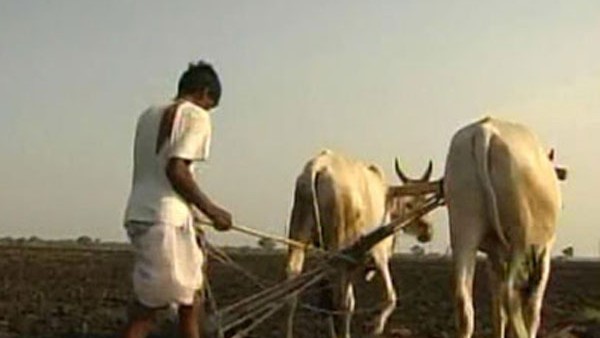  ಮೆಳೆಯಿಂದ ರೈತರ ಅಪಾರ ಬೆಳೆ ನಷ್ಟ