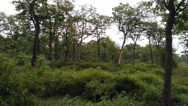 ಗೋಪಾಲ್ ಎಂಟರ್‌ಪ್ರೈಸಸ್‌ನಿಂದ ನಕಲಿ ದಾಖಲೆ 