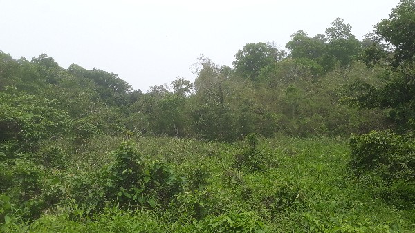 ಬಾಕಿ ವಿಷಯಗಳ ತೆರವಿಗೆ ಕ್ರಮ 