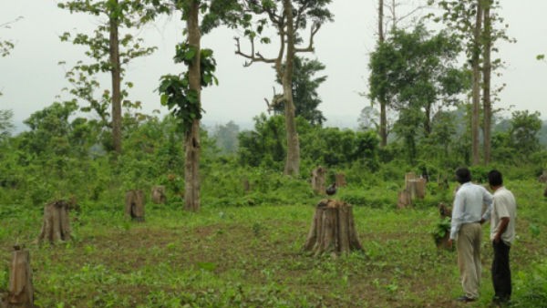  2,000 ವರ್ಷಕ್ಕೆ ಆಗಬೇಕಿದ್ದ ಅರಣ್ಯ ಬಳಕೆ 20 ವರ್ಷಕ್ಕೆ ಆಗಿದೆ