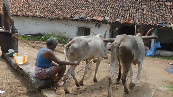  ಗಾಣದ ಸಾಧನವನ್ನು ಸಂರಕ್ಷಿಸುವ ಅಗತ್ಯವಿದೆ 