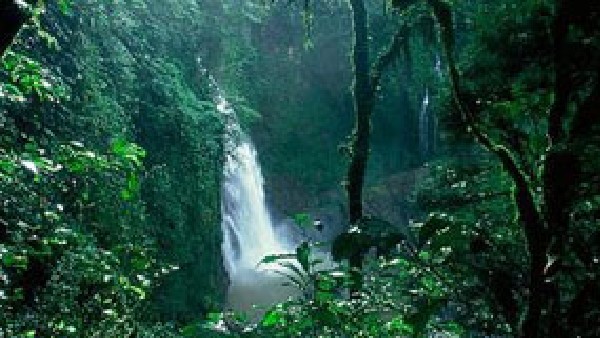 10,000 acre worlds largest safari park is located in India, Do you know where it is?