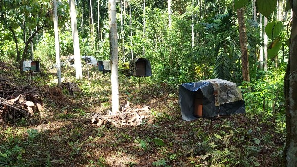 ಗುಜರಾತ್‍ನಲ್ಲಿಯು ಇವರ ಜೇನು ಕೃಷಿಗೆ ಬೇಡಿಕೆ 