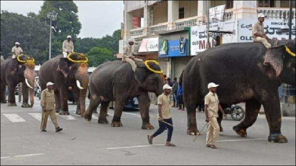  ಎಲ್ಲಾ ಆನೆಗಳಿಗೂ ಪ್ರತ್ಯೇಕ ಕಾವಾಡಿ, ಮಾವುತ