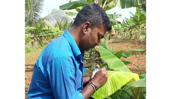  ಛಲ ಬಿಡದ ಉಲ್ಟಾ ಬಹರಗಾರ ರವಿ 