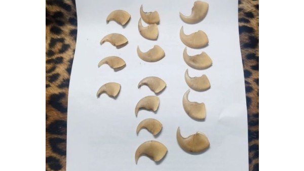 ಕಾರ್ಪೋರೇಟ್​ ಕಂಪನಿಯ ಉದ್ಯೋಗಿಯಾಗಿರುವ ಆರೋಪಿ 