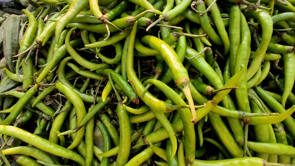 ಗಗನಕ್ಕೇರುತ್ತಿರುವ ತರಕಾರಿ ಬೆಲೆ