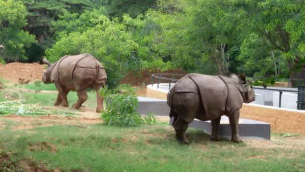 Mysuru zoological park 3rd best Zoo in the country 