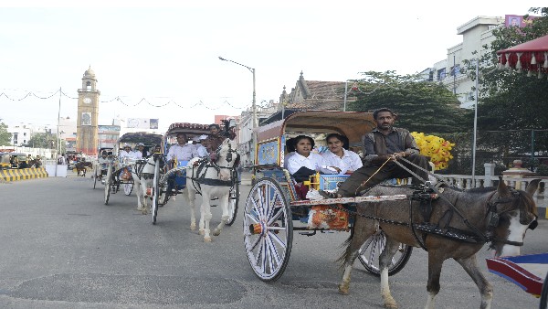 ಗಮನ ಸೆಳೆಯುವ ಸರೋಟು ಓಟ ಗಮನ ಸೆಳೆಯುವ ಸರೋಟು ಓಟ