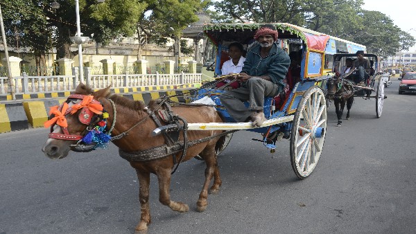ಹಿಂದೆ ಮೈಸೂರಿನ ಸಂಚಾರ ಸಾಧನ ಹಿಂದೆ ಮೈಸೂರಿನ ಸಂಚಾರ ಸಾಧನ