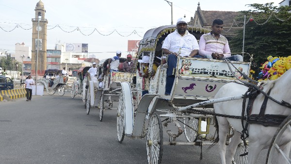 ಷಾ ಪಂಸದ್ ಫೇಮಸ್ ಸೊಬಗು ಷಾ ಪಂಸದ್ ಫೇಮಸ್ ಸೊಬಗು