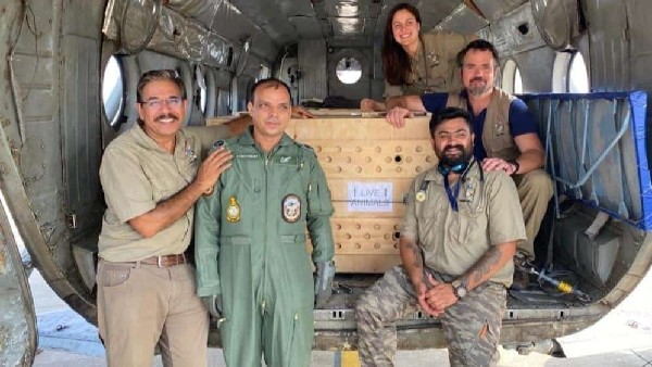  ಚೀತಾಗಳಿಗೆ ಗಂಟೆಗೊಮ್ಮೆ ತಪಾಸಣೆ 