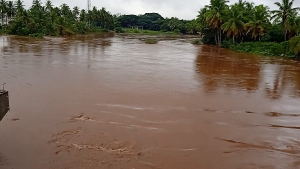  ನದಿ ನೋಡಲು ಹರಿದು ಬಂದ ಜನಸಾಗರ