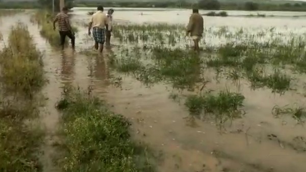 Malaprabha-Ghataprabha Flowing Danger Level, Worried on the River Surrounding Area