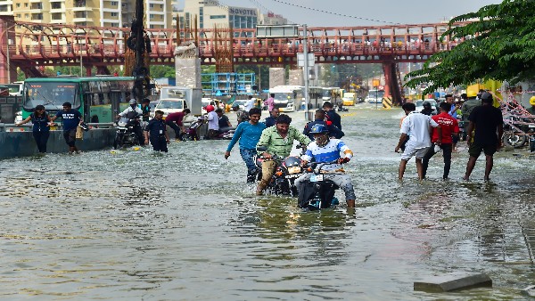 ಒಂದೇ ದಿನದಲ್ಲಿ 225 ಕೋಟಿ ನಷ್ಟ ಒಂದೇ ದಿನದಲ್ಲಿ 225 ಕೋಟಿ ನಷ್ಟ