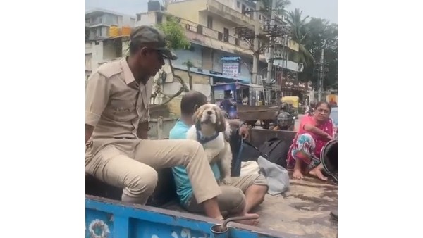 ರಸ್ತೆಗಳಲ್ಲಿ ಕಾರುಗಳ ತೇಲಾಟ 