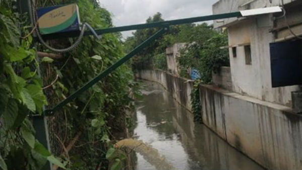 BBMP Has decided to fall down 60 tree for Raja Kaluve widen 