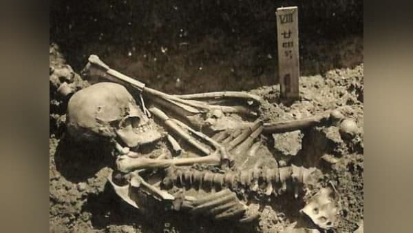 1.8 ಮಿಲಿಯನ್ ವರ್ಷ ಹಳೆಯ ಮಾನವನ ಹಲ್ಲು ಪತ್ತೆ