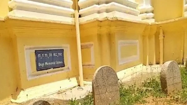  ಕಂಚಿನ ಹುಲಿಗಳ ಪ್ರತಿಮೆ