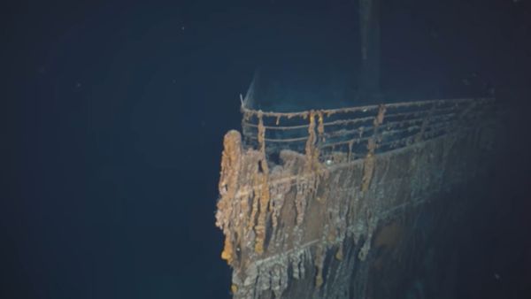 ವಿಡಿಯೋ ವೈರಲ್ 