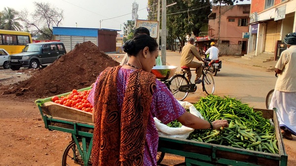 ಹಳದಿ ಬಣಕ್ಕೆ ತಿರುಗುತ್ತಿರುವ ಸೊಪ್ಪಿನ ಬೆಳೆ