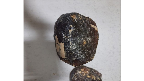  Uttar Pradesh UPSTF Seized Whale Vomit Worth 10 Crore rupees