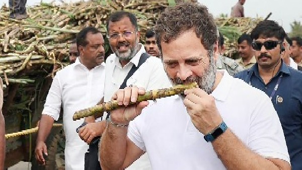 ಬೆಳಗ್ಗೆ 5 ಗಂಟೆಗೆ ಭಾರತ್ ಜೋಡೋ ಯಾತ್ರೆ ದಿನಚರಿ ಆರಂಭ ಬೆಳಗ್ಗೆ 5 ಗಂಟೆಗೆ ಭಾರತ್ ಜೋಡೋ ಯಾತ್ರೆ ದಿನಚರಿ ಆರಂಭ