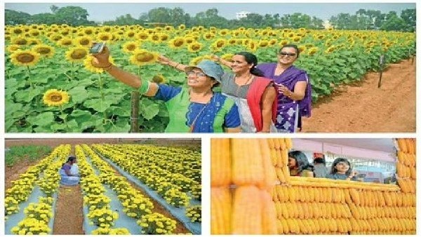  ಕೃಷಿ ಸಾಧಕರಿಗೆ ಪುರಸ್ಕಾರ
