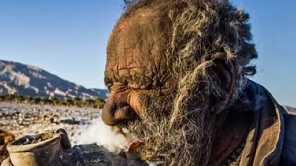  ನೆಚ್ಚಿನ ಆಹಾರ ಕೊಳೆತ ಮಾಂಸ, ಮುಳ್ಳುಹಂದಿ