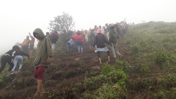 ದೇವಿರಮ್ಮ ಬೆಟ್ಟಕ್ಕೆ ತಲುಪುವ ಮಾರ್ಗಗಳು? ದೇವಿರಮ್ಮ ಬೆಟ್ಟಕ್ಕೆ ತಲುಪುವ ಮಾರ್ಗಗಳು?