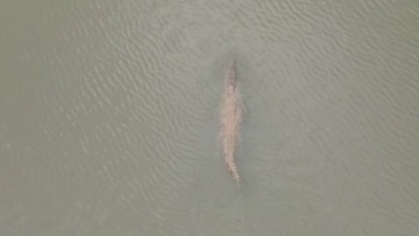  ಕೆರೆಯ ನೀರಿಗೆ ಅವಲಂಬಿಸದಿರುವುದರಿಂದ ತಪ್ಪಿದ ದುರಂತ