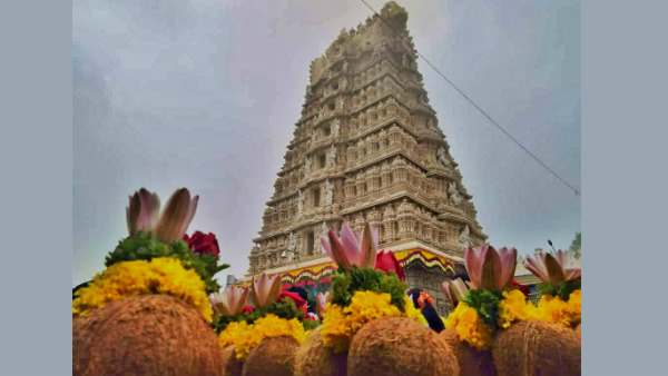 ಬೃಂದಾವನ & ಕೆಆರ್‌ಎಸ್ ಹಿನ್ನೀರಿನ ವೈಭವ 