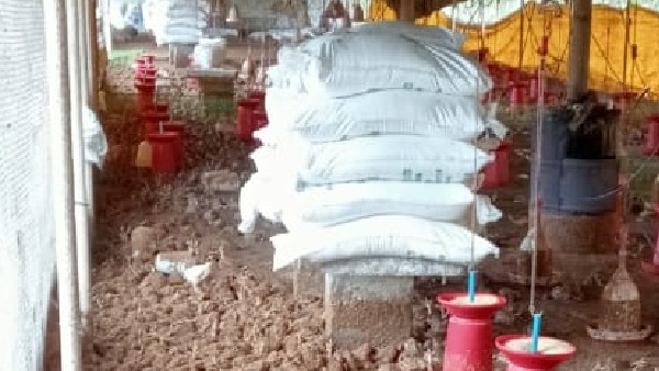  8 ಸಾವಿರ ಕೋಳಿಗಳು ನೀರುಪಾಲು 