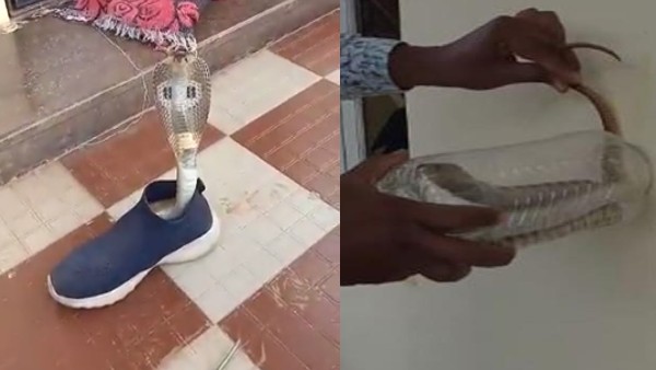 ವಿಡಿಯೋ ವೈರಲ್ 