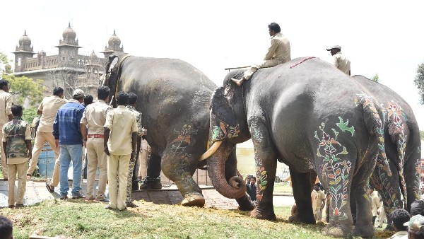 ಹರಸಾಹನ ಪಟ್ಟ ಮಾವುತರು 