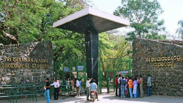 ಪ್ರವಾಸಿಗರ ಸಂಖ್ಯೆ ಇನ್ನು ಹೆಚ್ಚಾಗುವ ಸಾಧ್ಯತೆ 