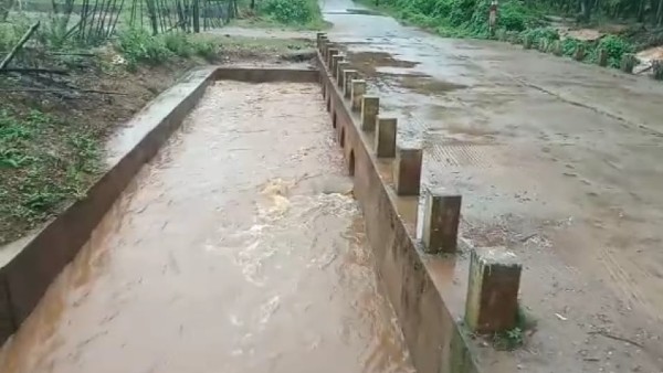 ತೋಟಗಳು ಜಲಾವೃತ; ರೈತರು ಕಂಗಾಲು ತೋಟಗಳು ಜಲಾವೃತ; ರೈತರು ಕಂಗಾಲು