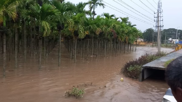 ಕಂಗಾಲಾದ ಜಿಲ್ಲೆಯ ಅನ್ನದಾತರು 