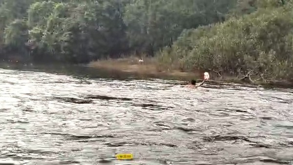  ಕ್ಯಾರೆ ಅನ್ನದ ಜನಪ್ರತಿನಿಧಿಗಳು 